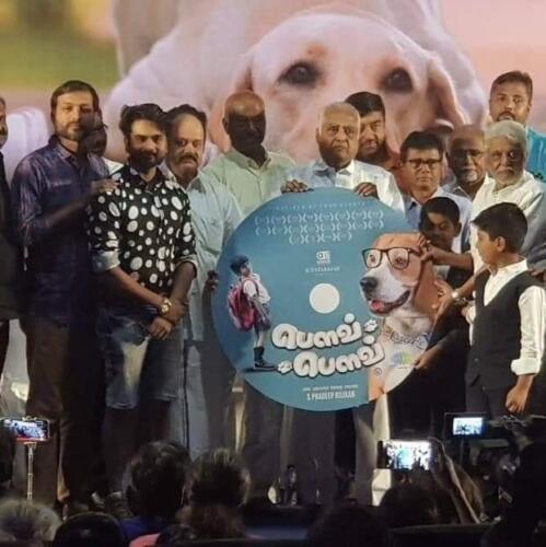 Bow Bow Audio Release (1)